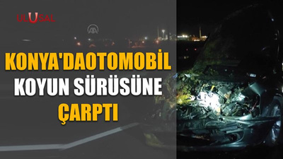 Konya'da otomobil koyun sürüsüne çarptı